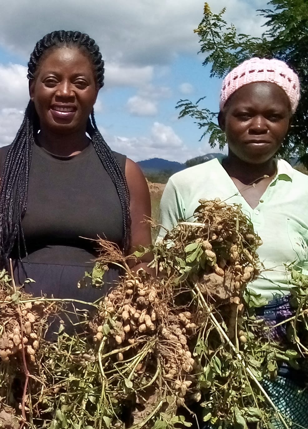 Women standing in a field in Malawi.