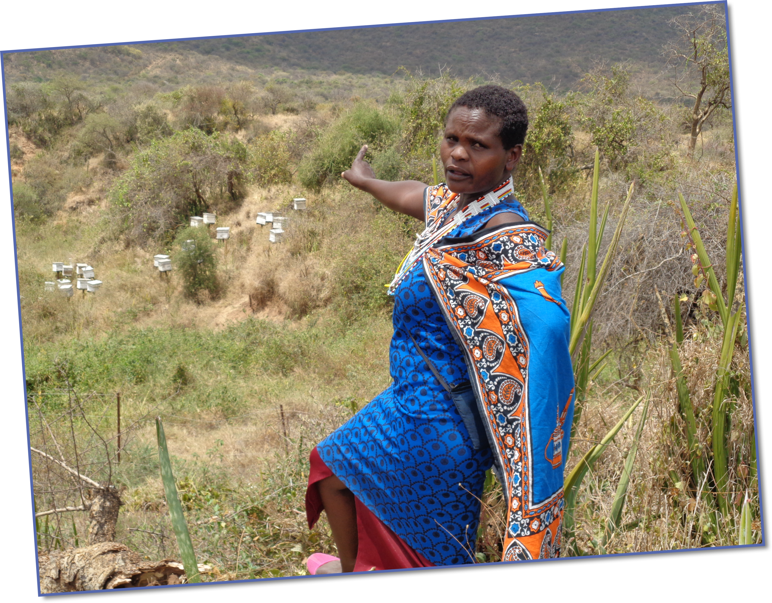 Elizabeth is one of 150 women who have received bee keeping training thanks to ActionAid