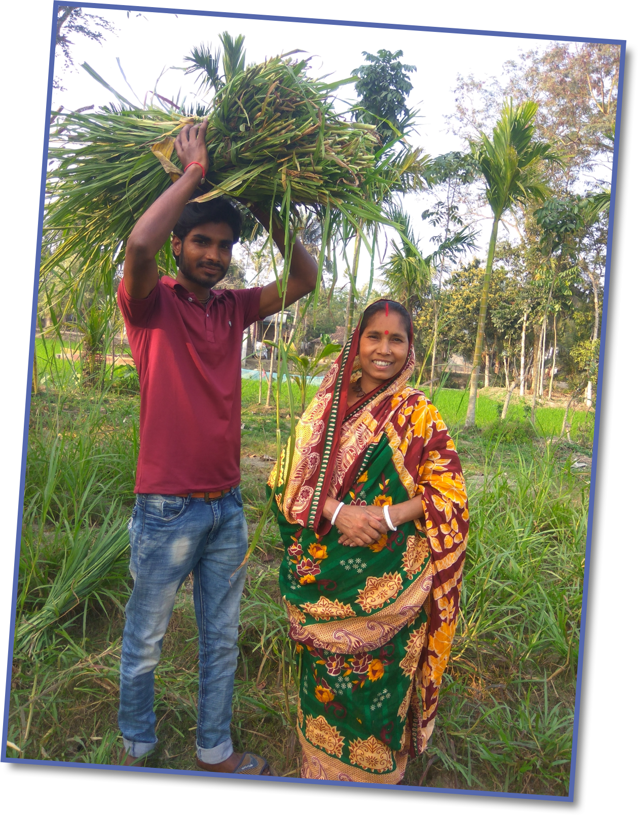 Mandari and her older son cutting down the fast-growing grass which is being used for animal feed