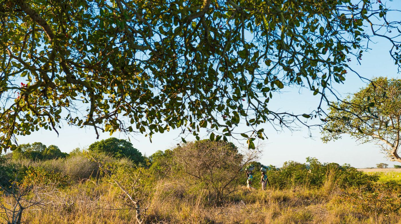 ActionAid supports women and girls in Marracuene, Mozambique